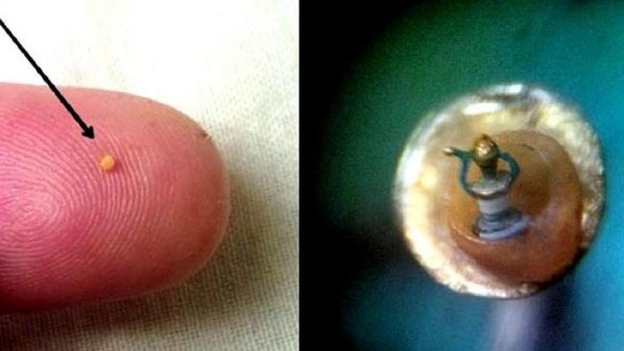 Türkiye'nin ilk ve tek mikro minyatür merkezi! Ziyaretçilerini hayran bırakıyor