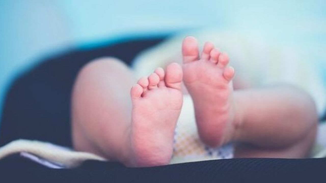 İşte Türkiye'de bir yılda doğan bebek sayısı