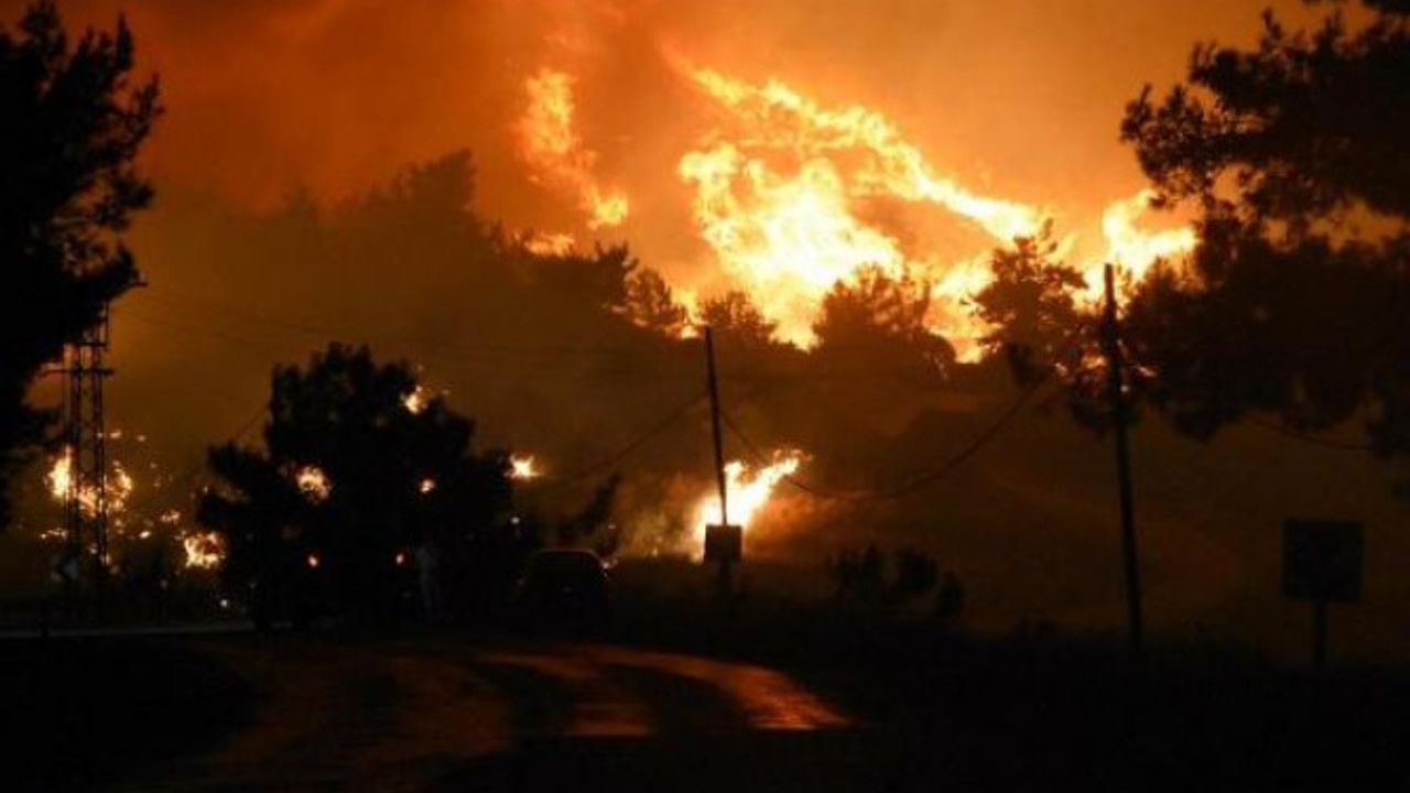 Menderes'te orman yangınında 430 hektar yanmıştı... Bilirkişi incelemesi yapılacak