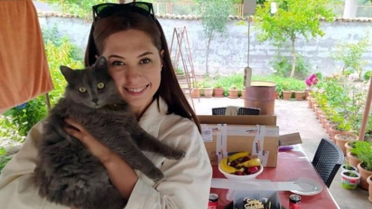 Evden kaçan kedisini kurtarırken canından oldu