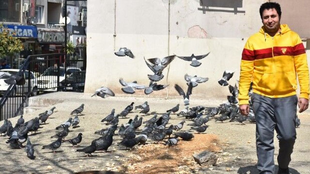 Yaz kış demeden fırından topladığı ekmek kırıntılarıyla 15 yıldır kuşları besliyor
