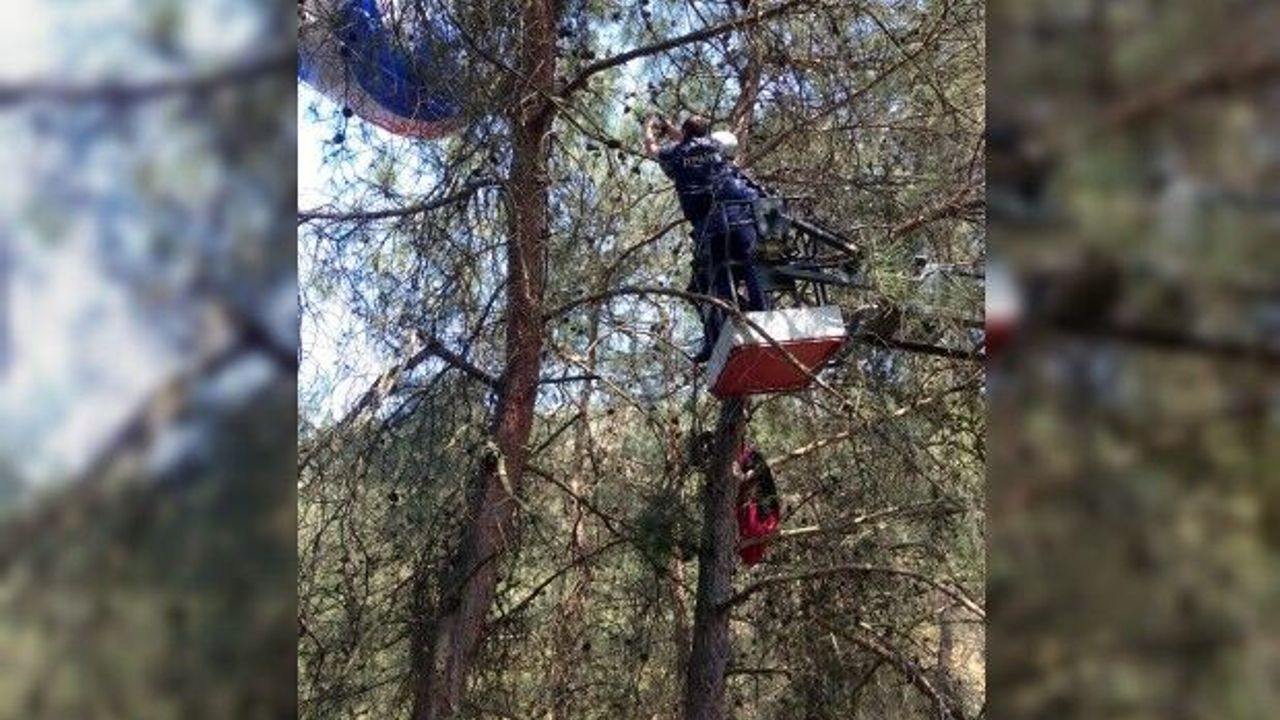 Ağaca asılı kalan amatör paraşütçü kurtarıldı
