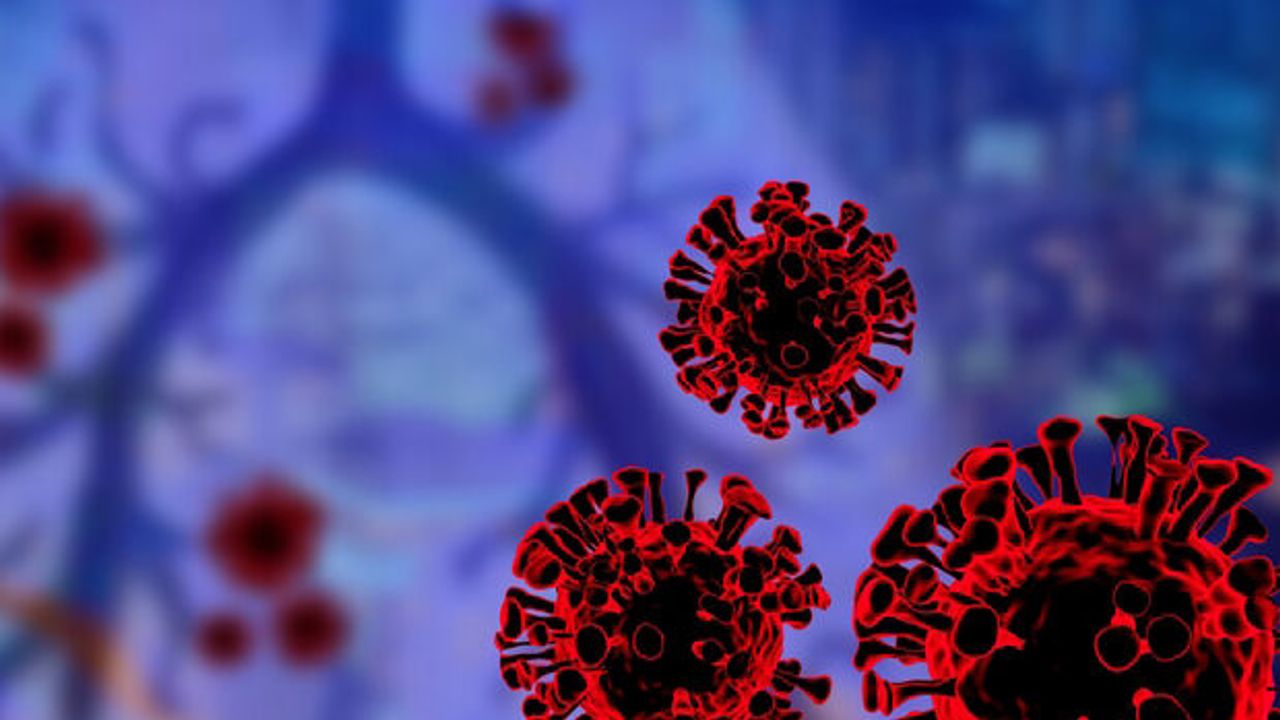 Koronavirüs verileri açıklandı: 11 can kaybı, bin 661 yeni vaka