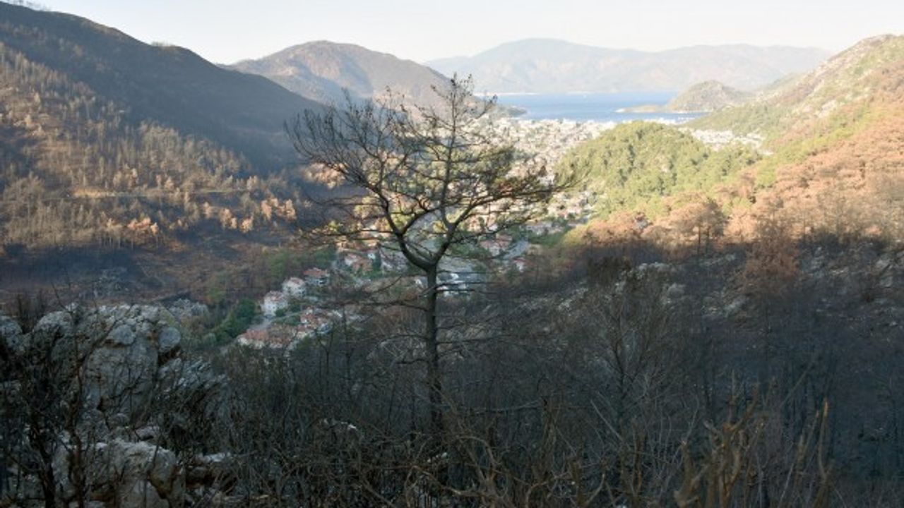 Muğla'da bazı bölgelerde ormanlara giriş yasaklandı