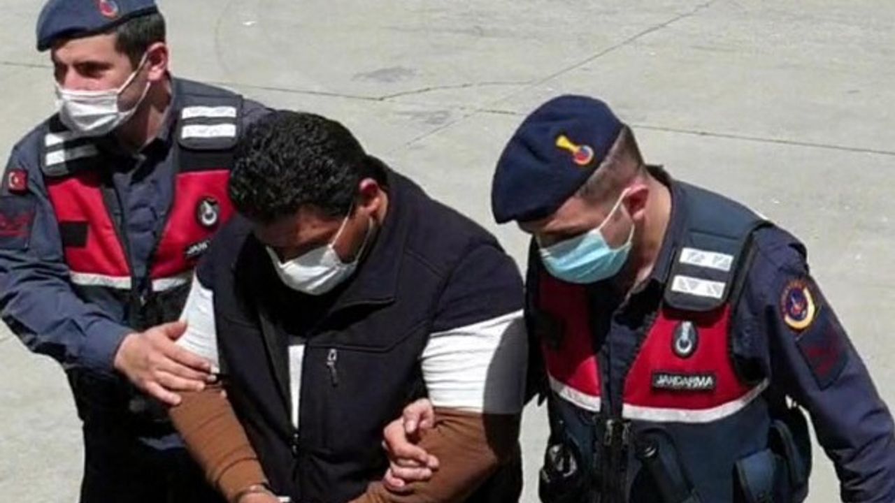 Orman vurgunu operasyonunda yeni detaylar ortaya çıktı! Sahte vaziyet planı çizdirmişler