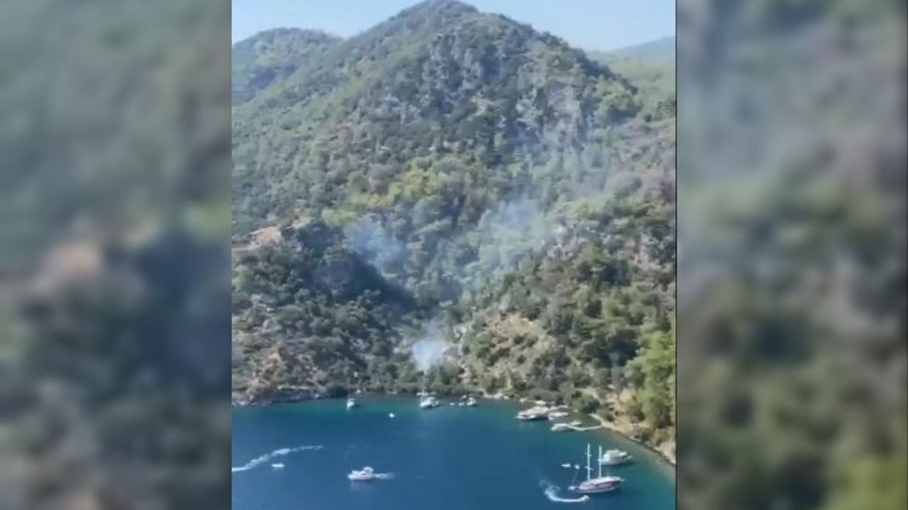 Bedri Rahmi Koyu'nda orman yangını! Büyümeden söndürüldü