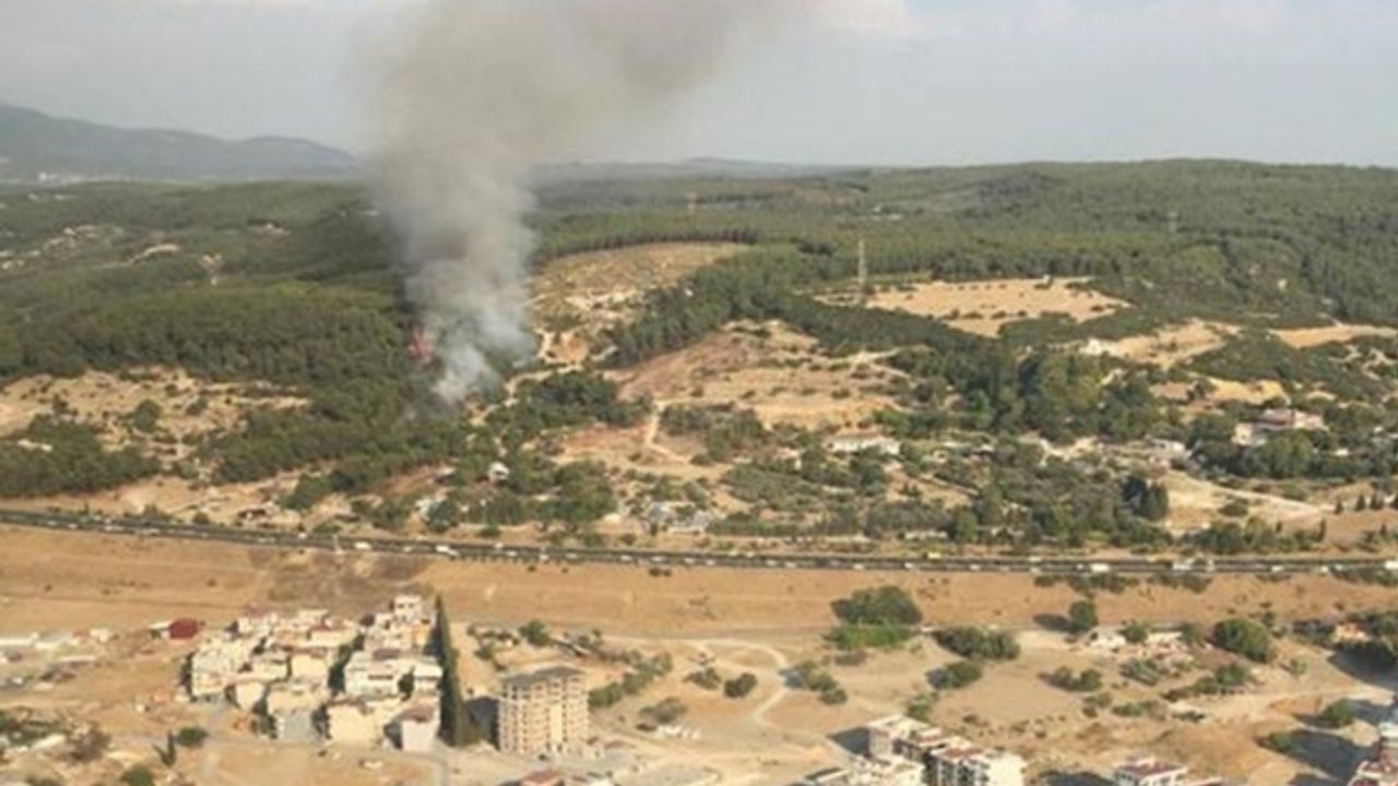 Gaziemir'de orman yangını! Kontrol altına alındı