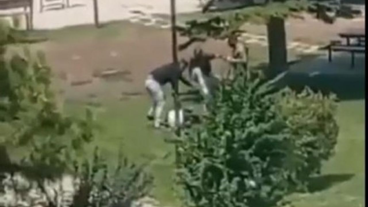 Parkta dövülerek öldürülmüştü! Görüntüsü ortaya çıktı