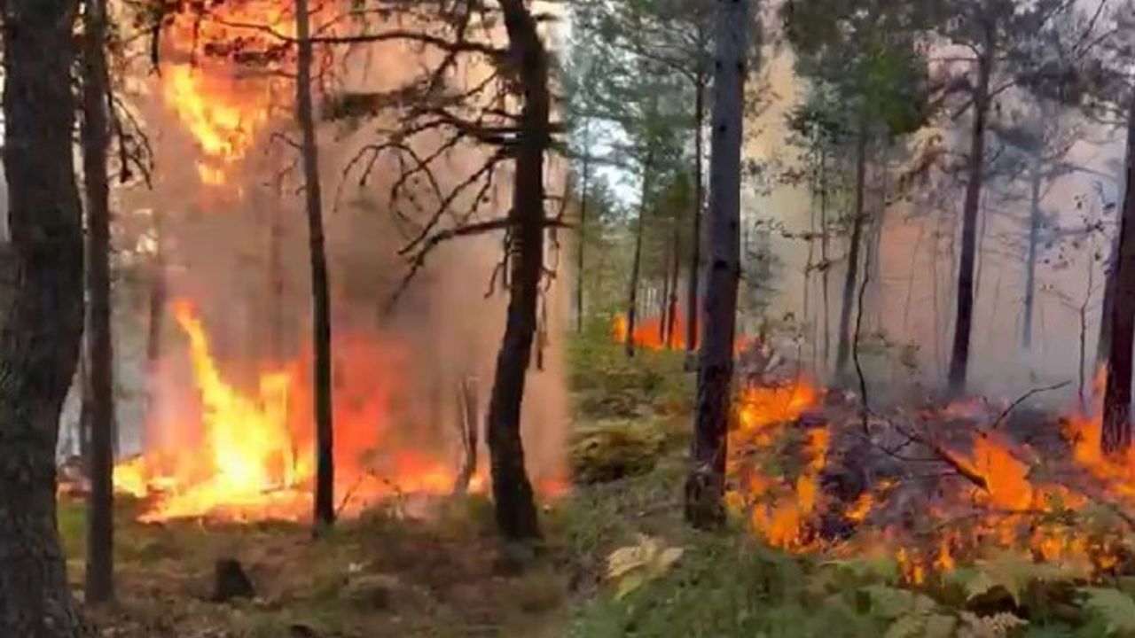 Tokat’ta aynı yerde ikinci kez orman yangını çıktı