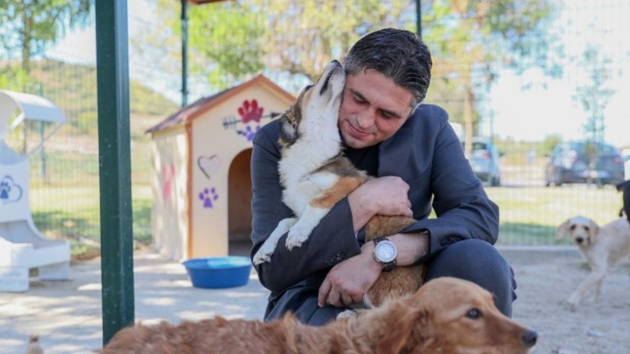 Aliağalı Minikler Pati Park’ta Sevimli Dostlar ile bir araya geldi