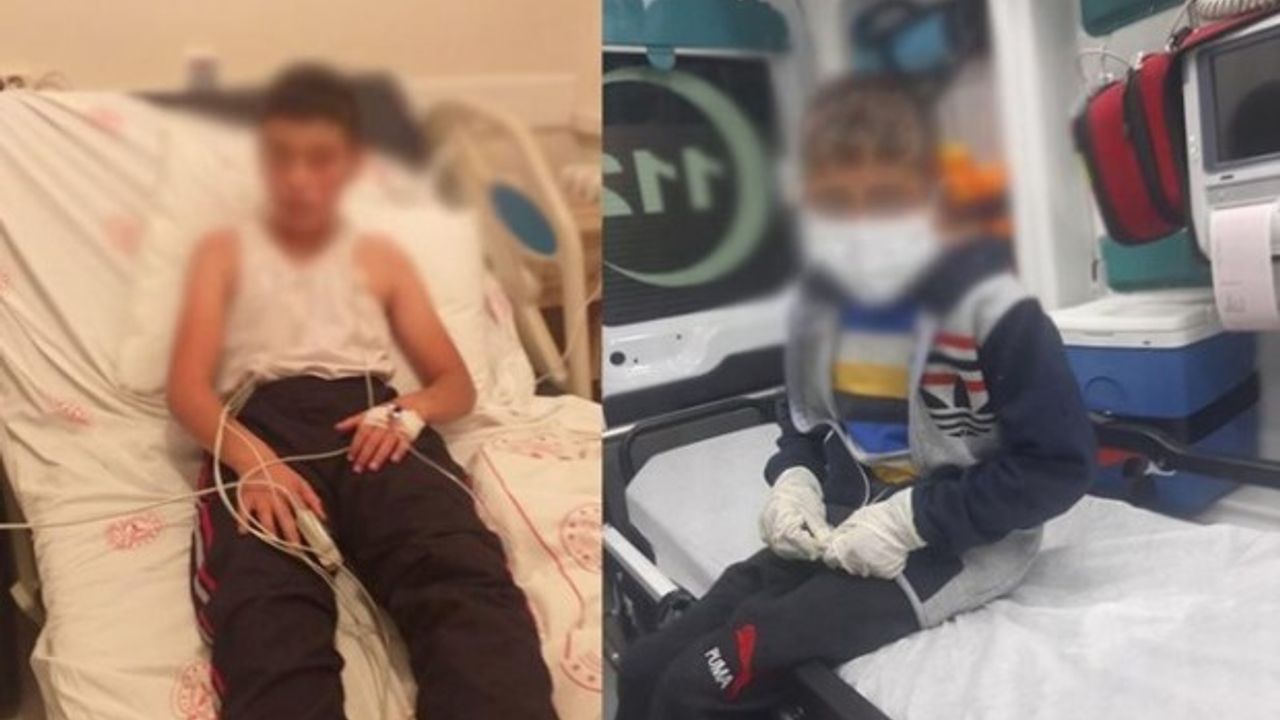 Bitlis'te köpeğin ısırdığı iki çocuktan biri kuduz oldu