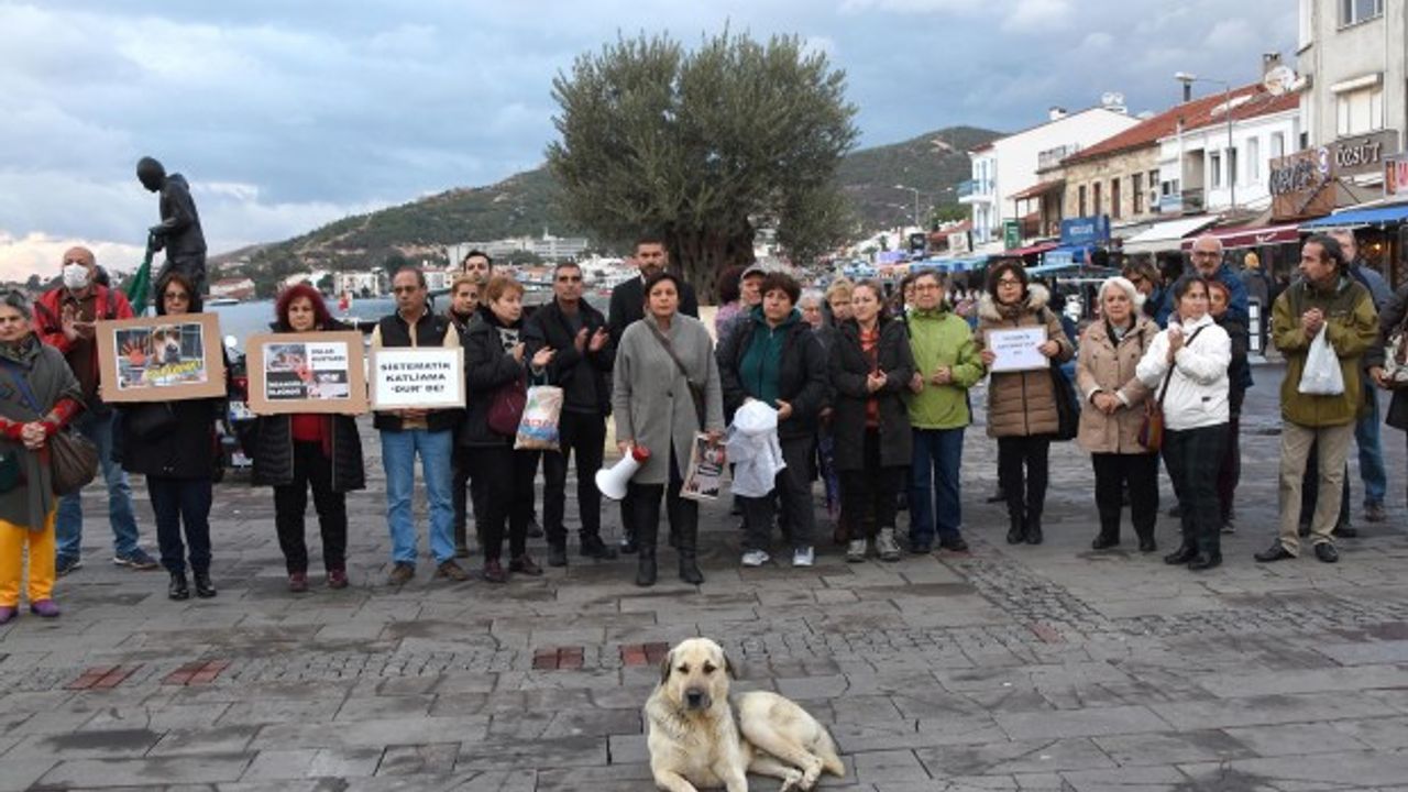 Hayvanlara yönelik şiddet Foça’da protesto edildi