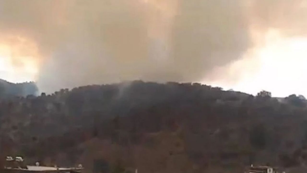 İzmir'de art arda iki orman yangını! Kontrol altına alındı