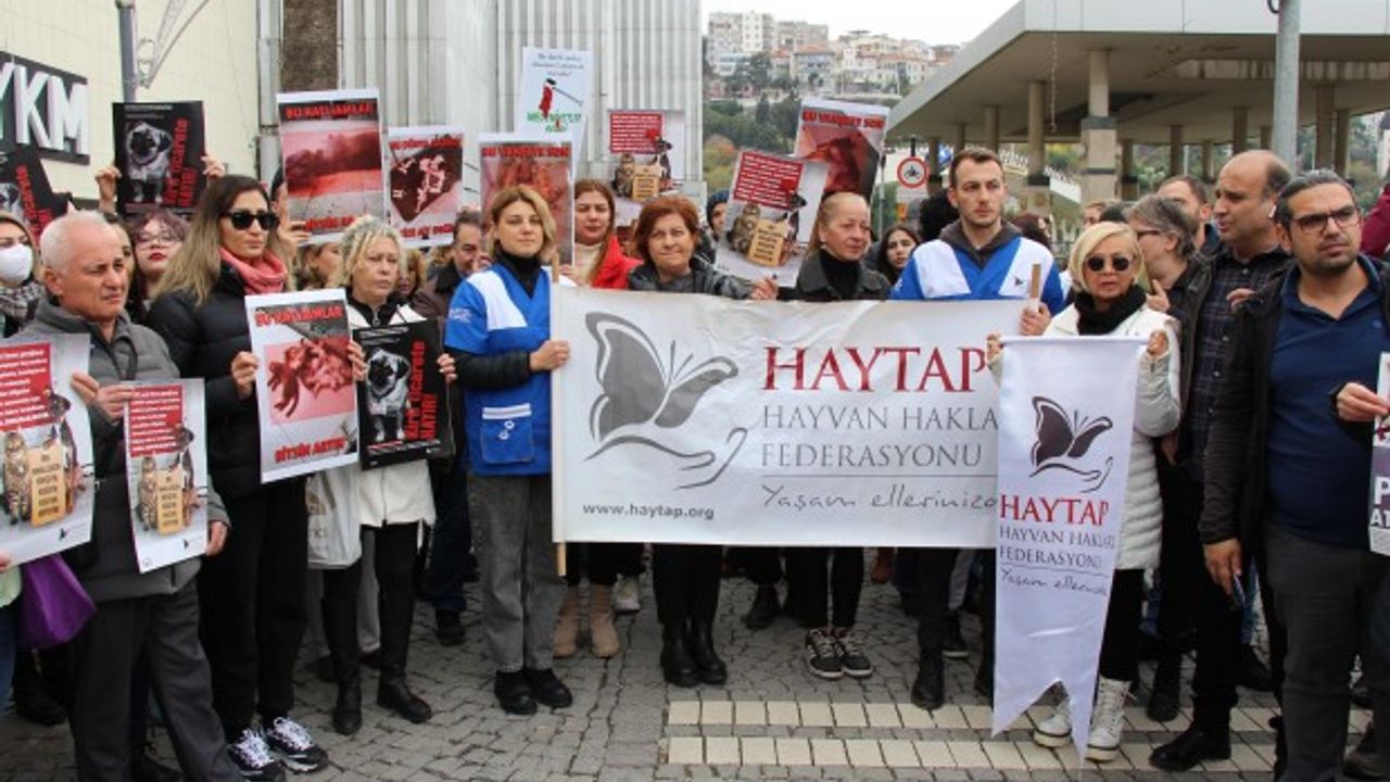 İzmir'de, hayvanlara yönelik şiddet protesto edildi