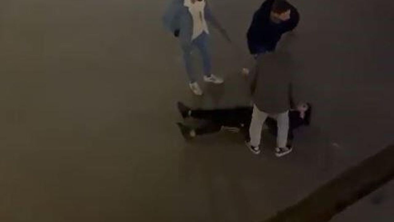 Serbest bırakılan pitbull çocuğa saldırdı