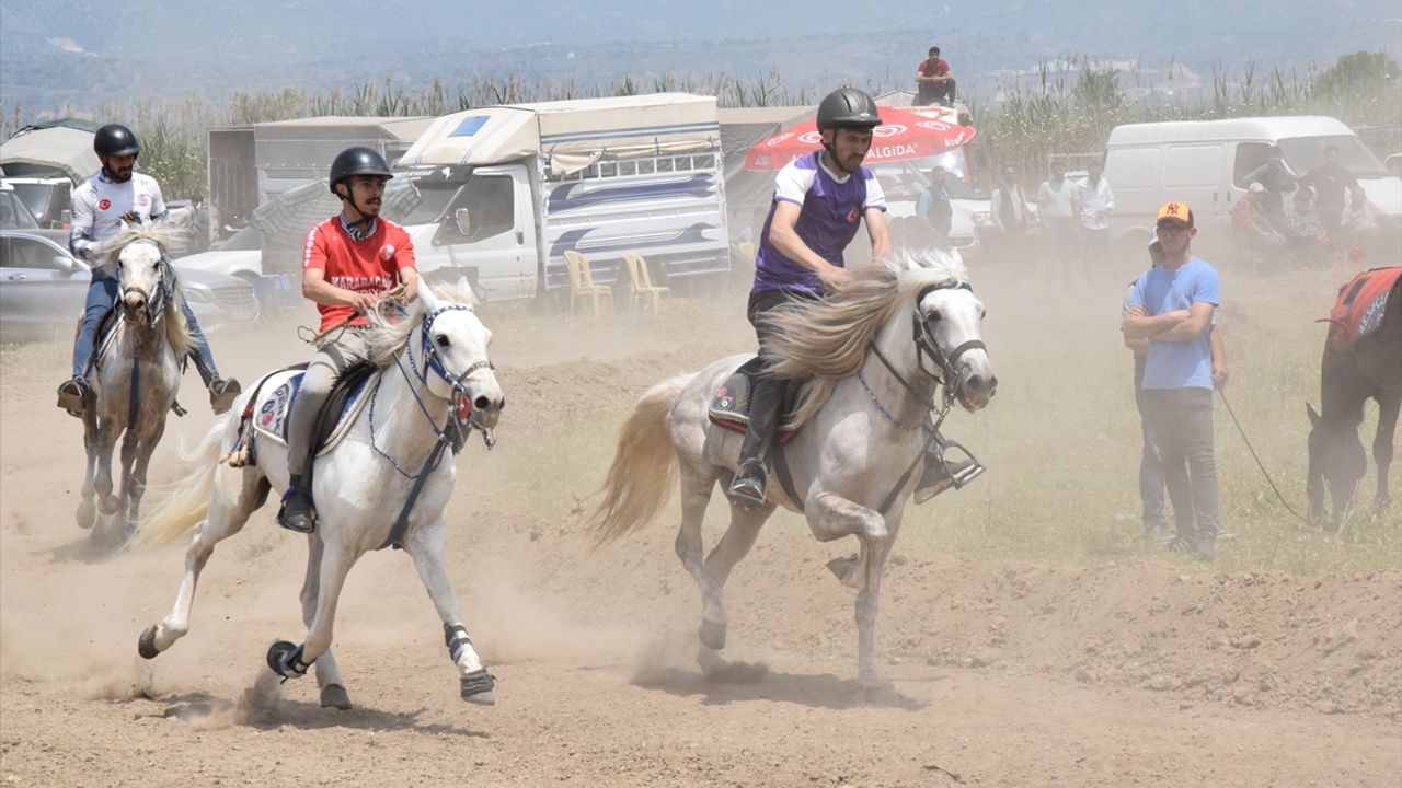 Yenipazar'da rahvan at yarışları yapıldı