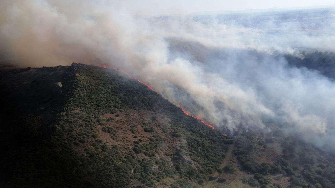 İzmir'de orman yangını... Havadan ve karadan müdahale
