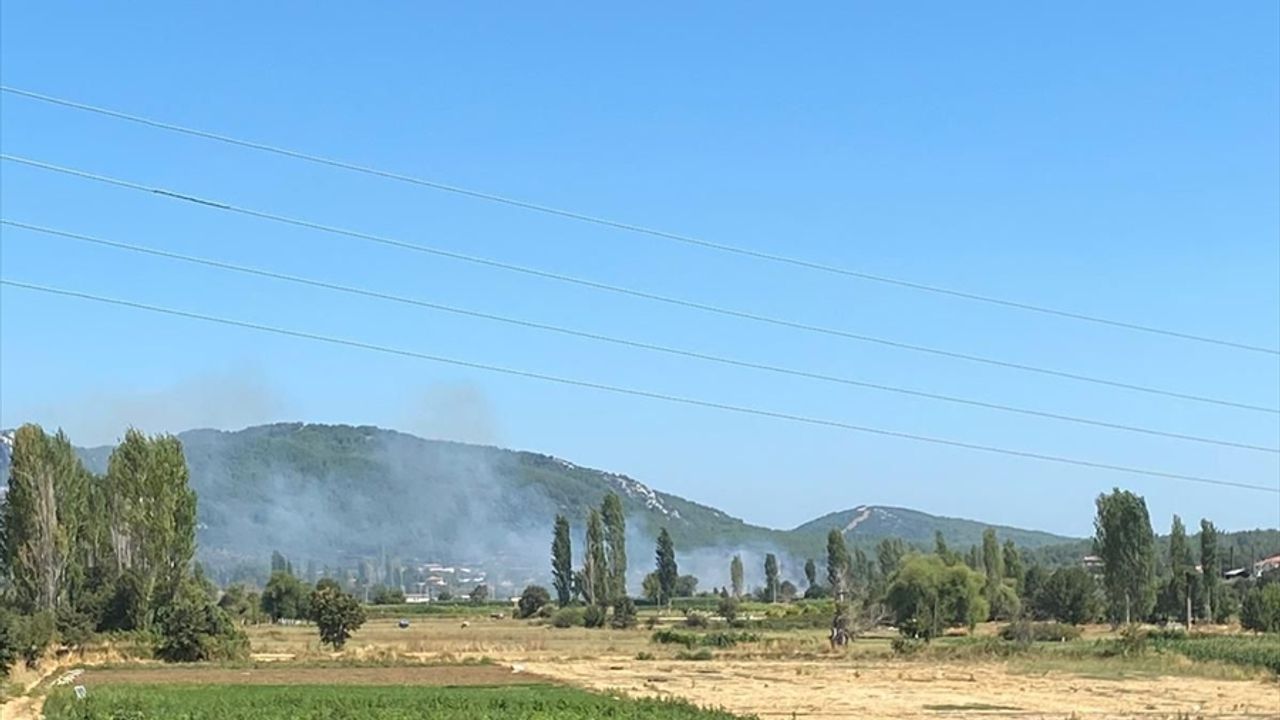 Muğla'da tarım arazisinde çıkan yangın söndürüldü