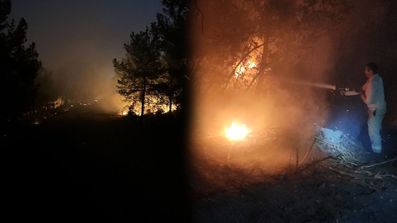İzmir'de gece başlayan orman yangını sürüyor!