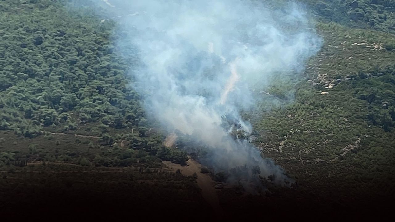 İzmir'de orman yangını... Ekipler müdahale ediyor