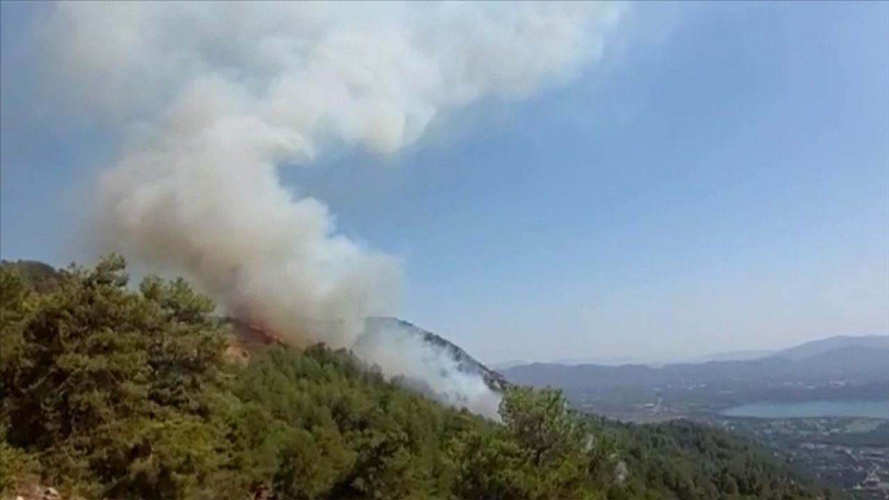 Muğla'nın Köyceğiz ilçesinde orman yangını çıktı
