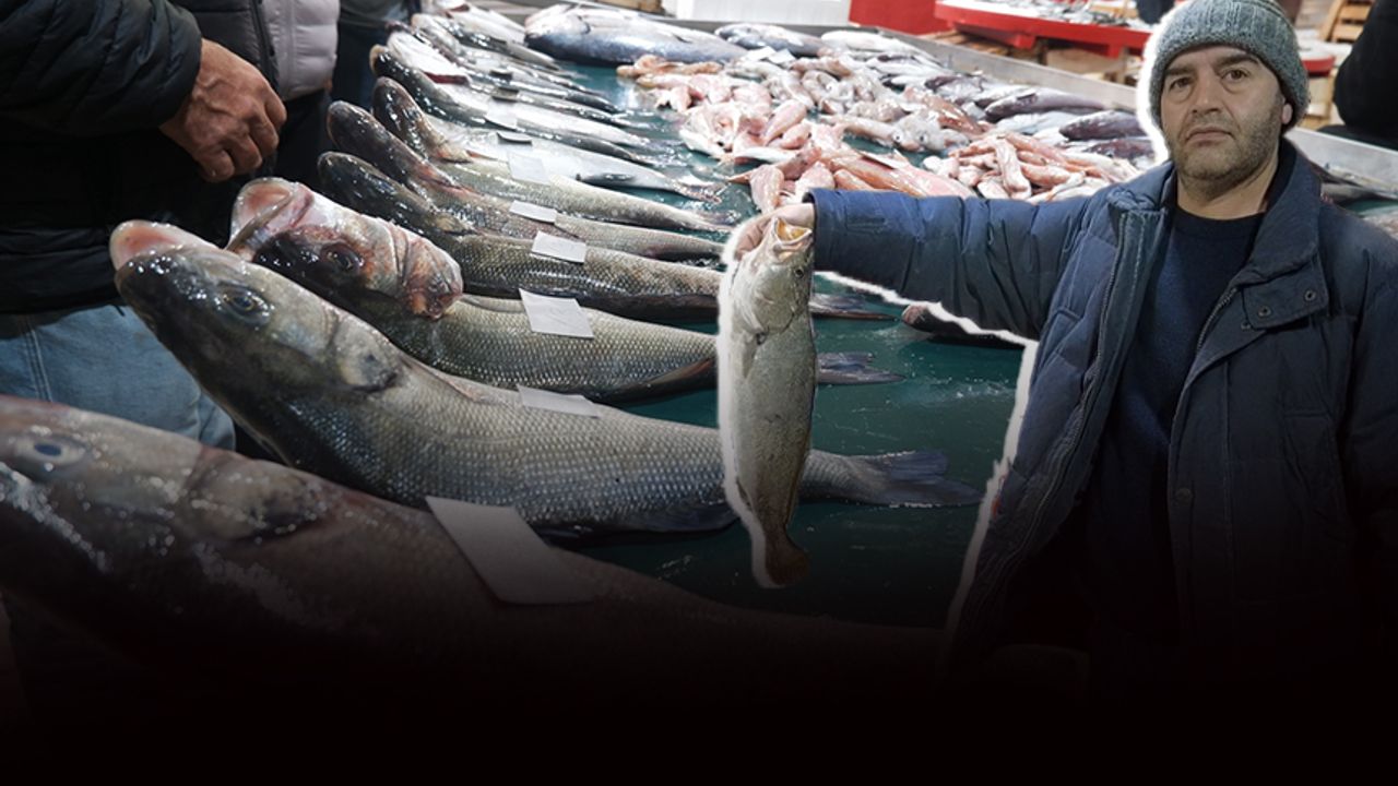 Foça'da balıkçılar mutlu... Tezgahlarda levrek bereketi!