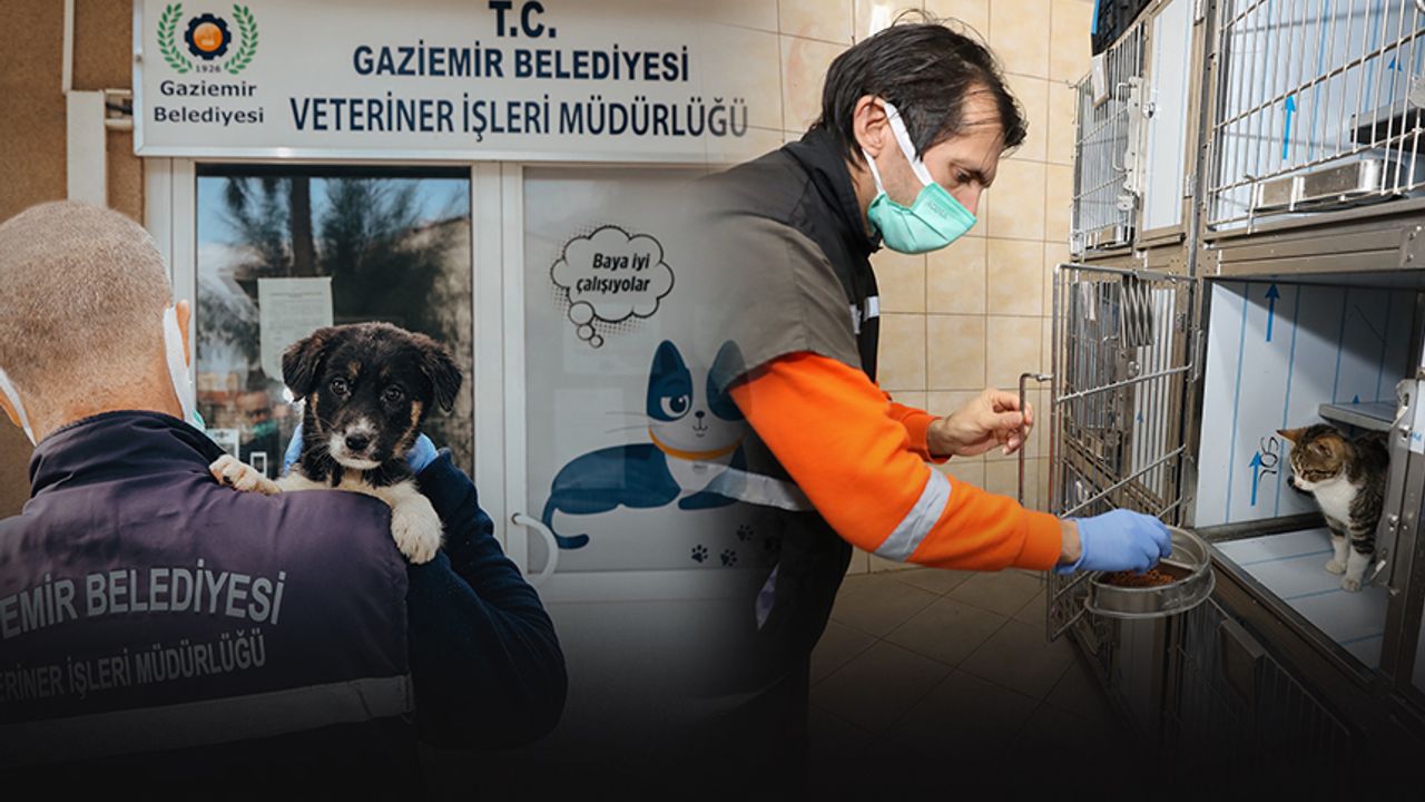 Gaziemir’de 27 bin 631 hayvana veteriner sağlık hizmeti