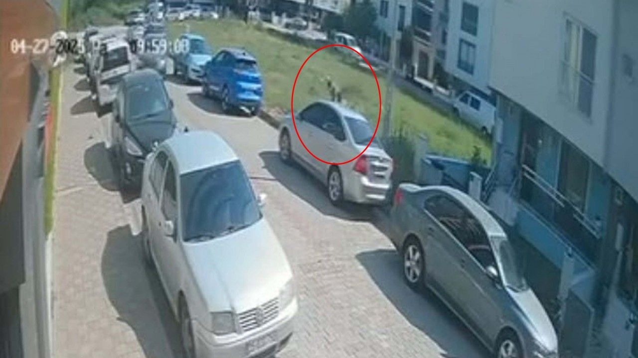17 yaşındaki çocuk kabusu yaşadı... Köpeklerden kaçmak isterken arabaya çarptı!
