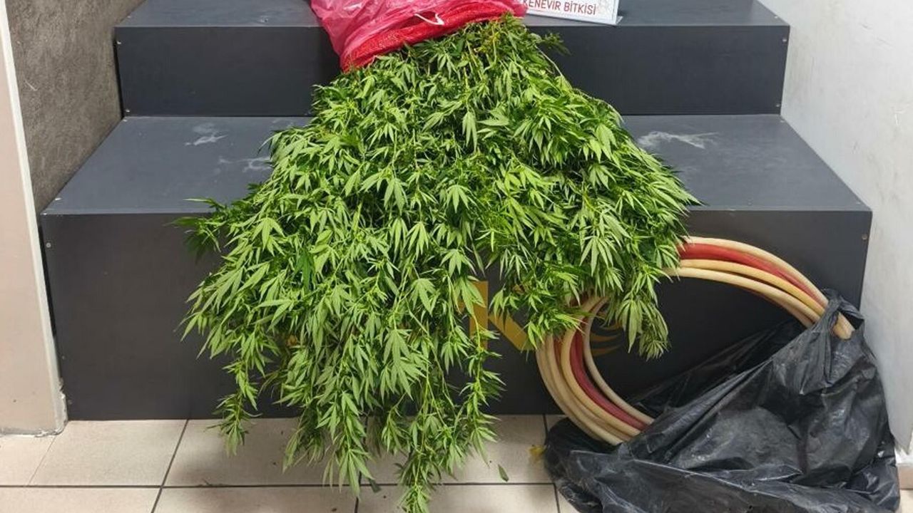 Konak'ta 3 adrese baskın: 4 tutuklama!