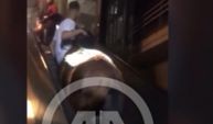 İZBAN’da şaşırtan görüntü… Atı yürüyen merdivenden çıkardı 