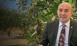 Danıştay’dan zeytinlik kararı… Soyer: Çok mutluyuz