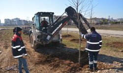Torbalı Belediyesi yeşile doymuyor