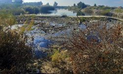 Büyük Menderes Nehri çöplüğe döndü... Suyun rengi siyaha büründü