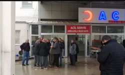 Adana'da 2 kardeşin korkunç sonu