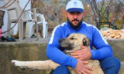 Vücuduna yüzlerce saçma isabet etti... Zehirlenme ve sakat kalma tehlikesiyle karşı karşıya