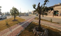 Menderes daha da yeşilleniyor!