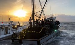 İzmir'de yasa dışı avlanmaya ceza yağdı