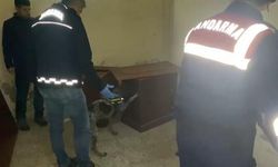 İzmir'deki 'Kökünü Kurutma' operasyonu: 59 şüpheli gözaltına alındı