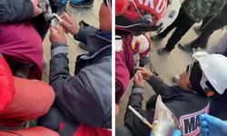 Enkazdan kurtarılan kediye MAKUR desteği