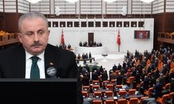 TBMM Başkanı Şentop'tan vekillere çağrı