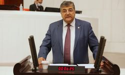 CHP’li Sındır, “Ormanlarımızı daraltan ve rant odaklarının telaşlı taleplerini karşılayan kanun teklifi”