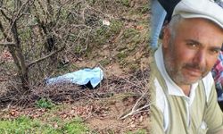 Budamak için çıktığı açtan düşerek hayatını kaybetti