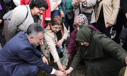CHP Bayraklı, kadınlar anısına fidan dikti