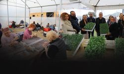 Umutları yeşerten proje! Efes Selçuklu kadınlarından deprem bölgesi için fide dayanışması