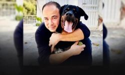 Feci kaza... Belediye personeli hayatını kaybetti!