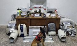 Ev değil uyuşturucu imalathanesi... Jandarmadan özel operasyon