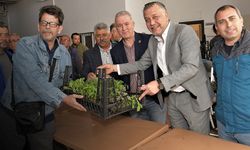 Bornova'da üreticilere ücretsiz 400 bin fide