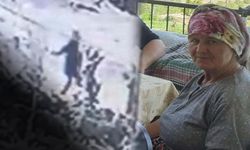 Asma yaprağı toplamaya gitti... Pompalı tüfekle öldürüldü