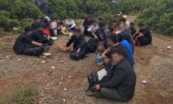 Ormanlık alanda 34 düzensiz göçmen yakalandı