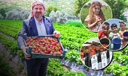 Menemen'de çilek kokulu günler başlıyor